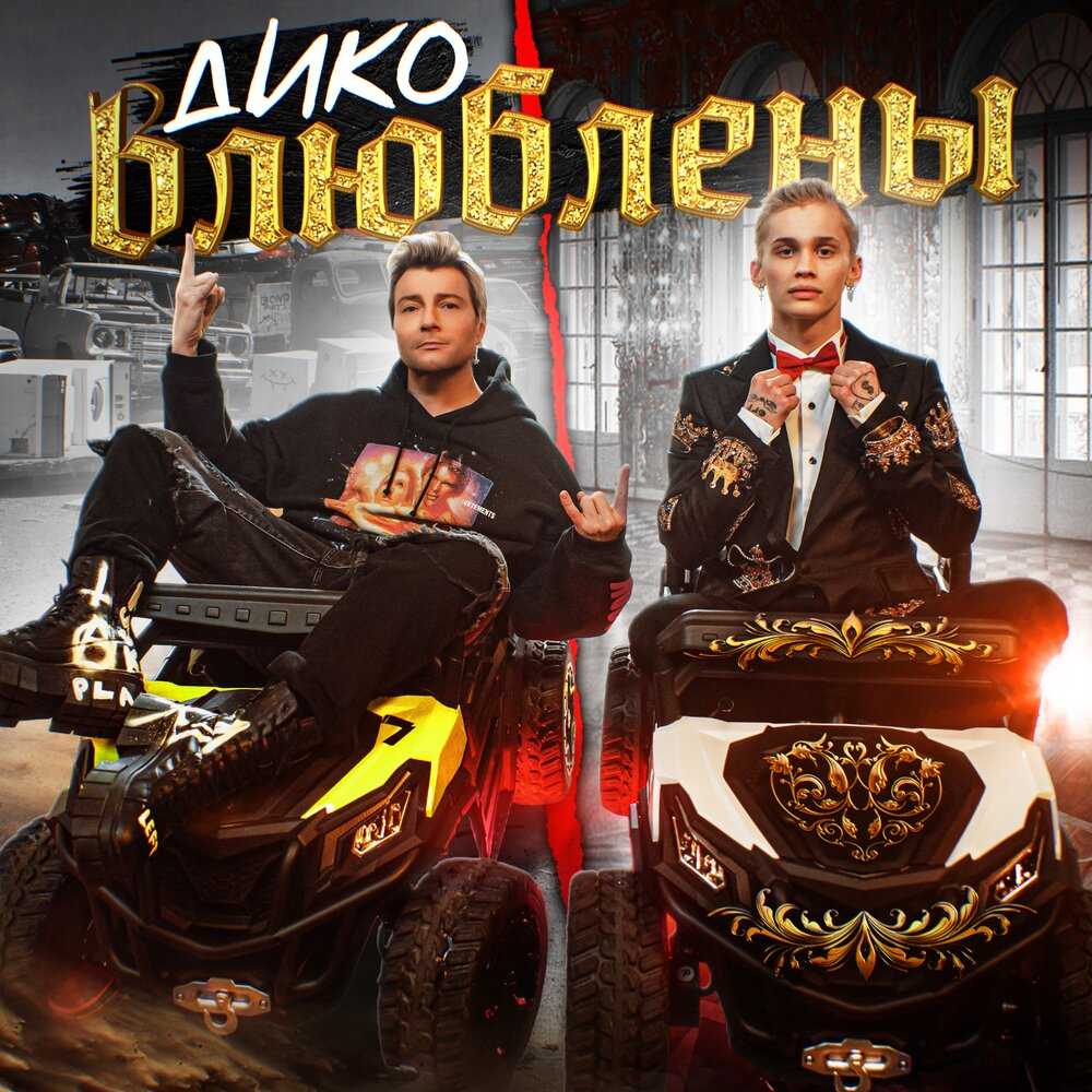 Дико тусим