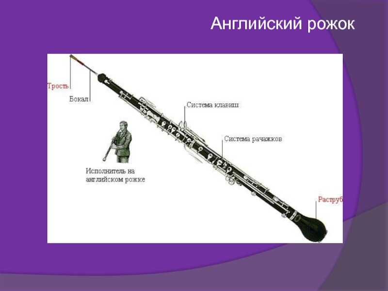 Значение английский рожок в словаре кольера. музыкальный инструмент: английский рожок чем английский рожок отличается от гобоя