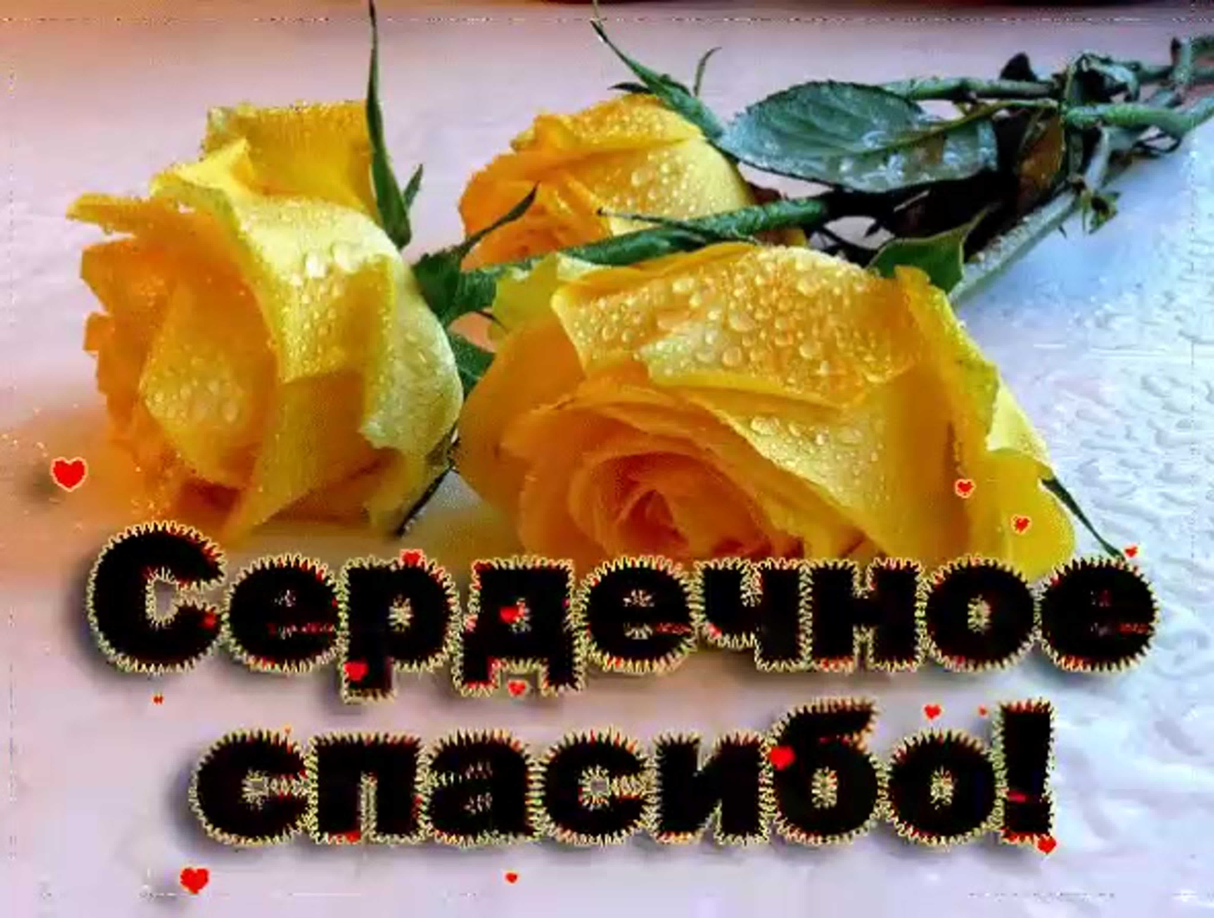 Спасибо, родная (1995) – михаил боярский – всё о песне