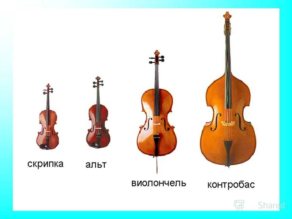 Смычковые музыкальные инструменты. альт: интересные факты, видео, история, фото, слушать