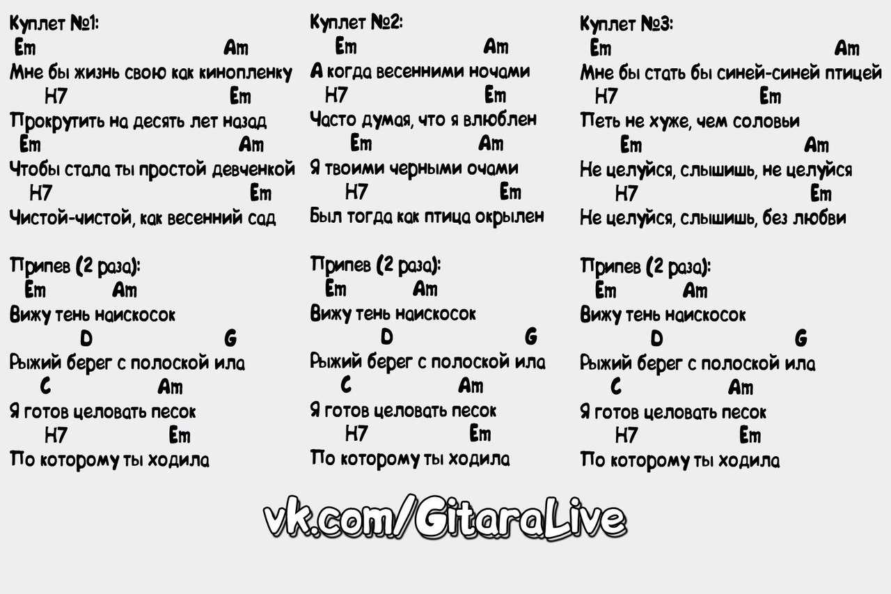 Xcho картинка #270393