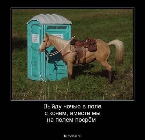 Выйду в поле с конем автор