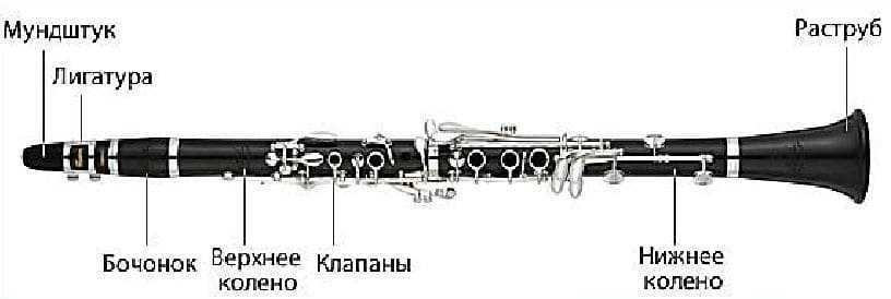 Фагот: что это такое, звучание, разновидности, строение, история