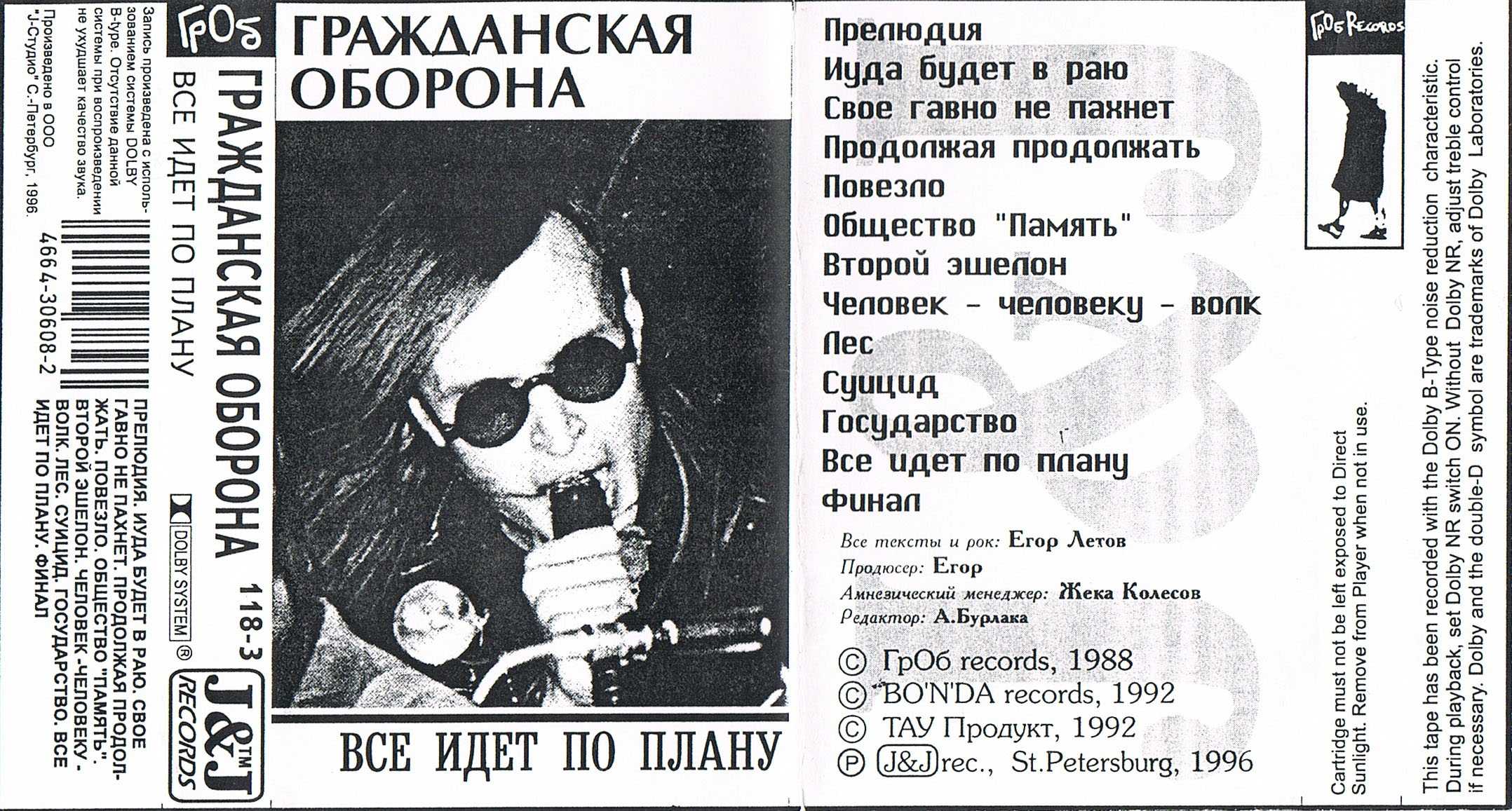Все идет по плану (границы ключ) – егор летов
