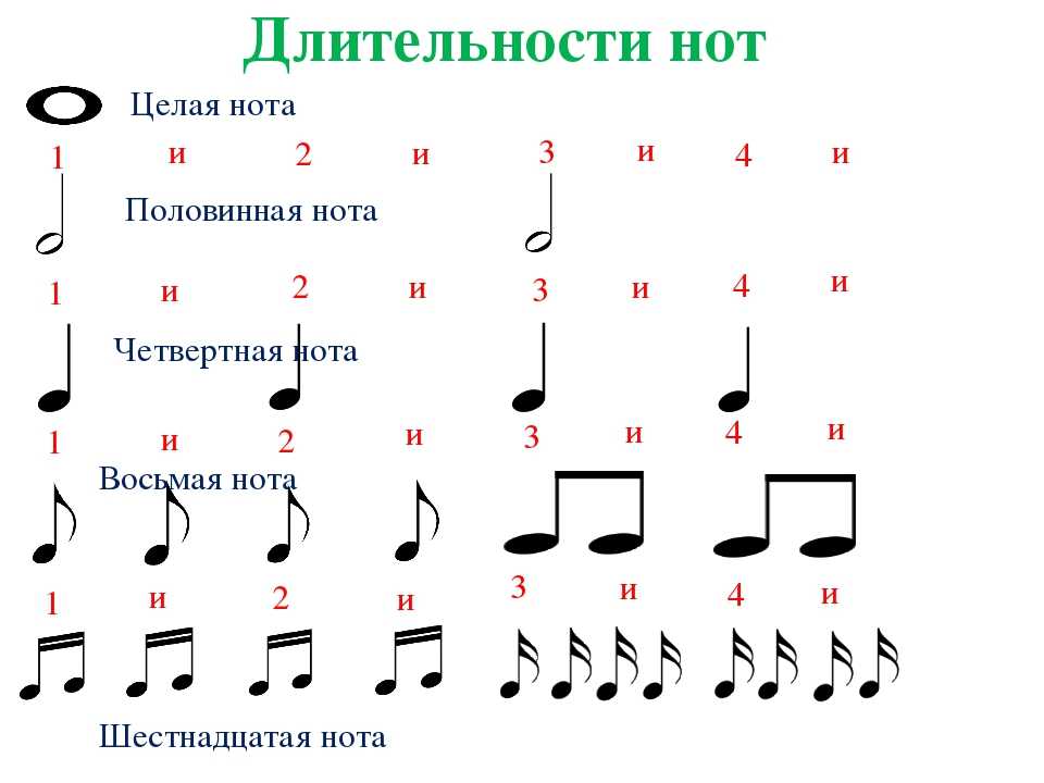 Темп в музыке: определение, виды, таблицы