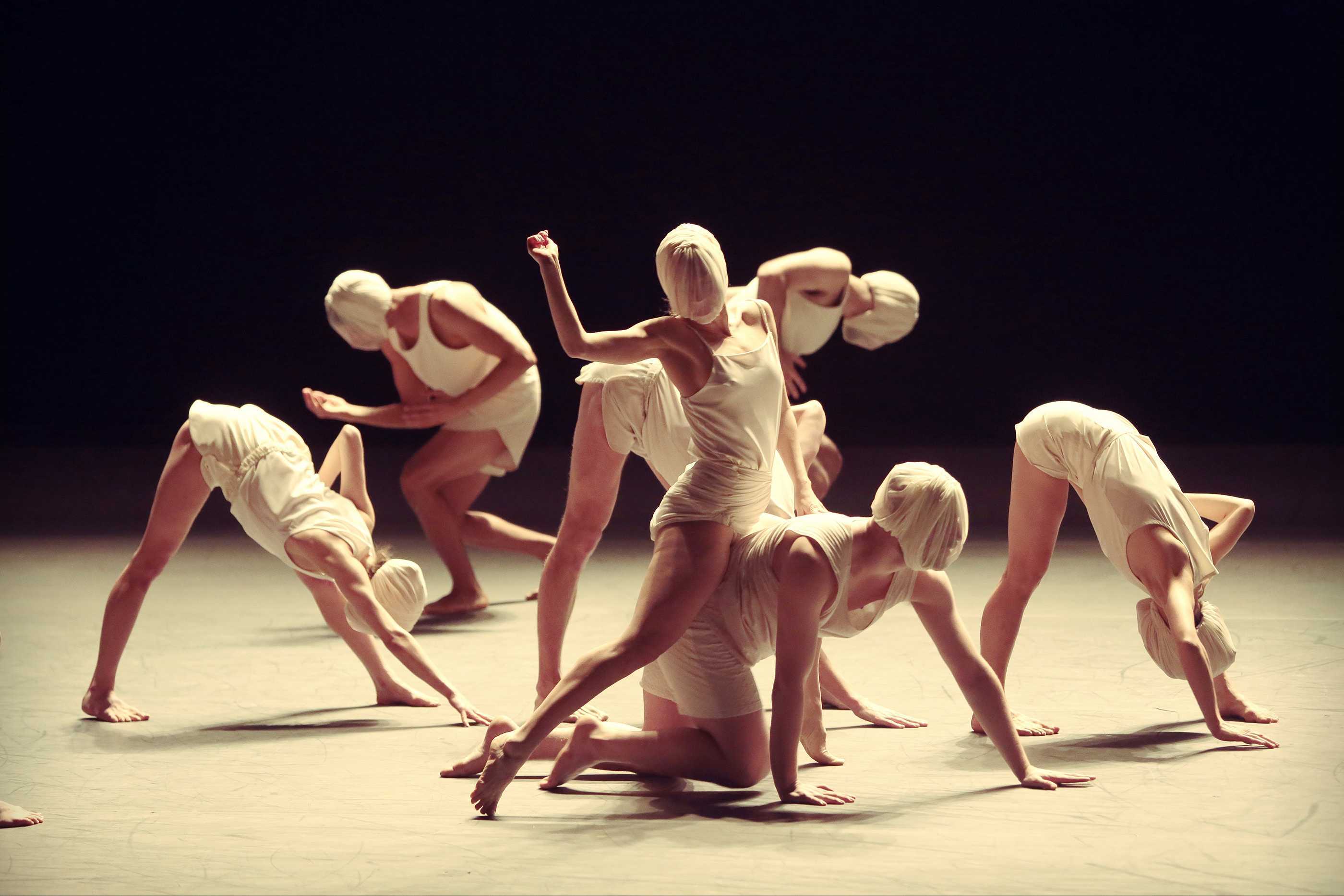 Interviews with six batsheva company dancers